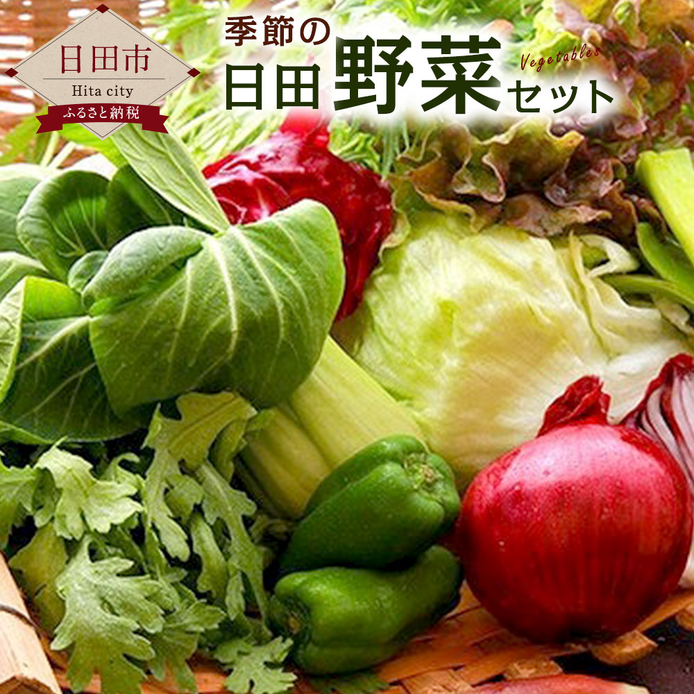 季節の日田野菜セット 1箱 旬 春 大分産 詰め合わせ 送料無料