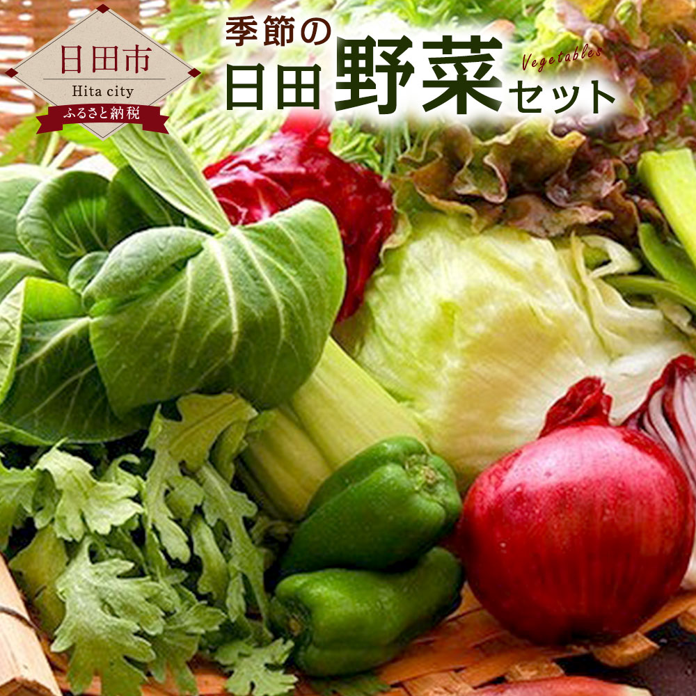 【ふるさと納税】季節の日田野菜セット 1箱 旬 春 大分産 詰め合わせ　送料無料