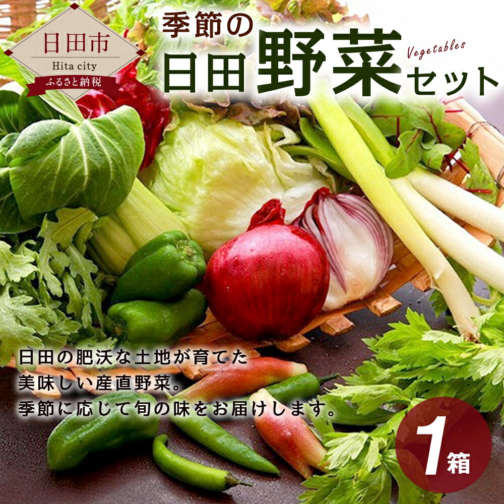 【ふるさと納税】季節の日田野菜セット 1箱 旬 春 大分産 詰め合わせ　送料無料