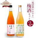 【ふるさと納税】梅酒蔵おおやま 梅酒セット（熟成梅酒ゆめひびき720ml、かぼす梅酒720ml） 日田産 大分県産 送料無料