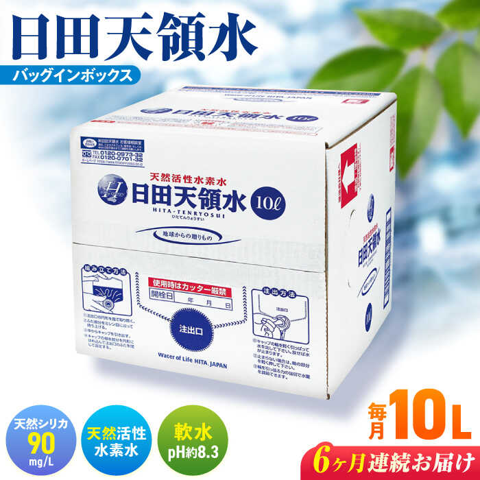 【ふるさと納税】【全6回定期便】日田天領水 10L×1箱 日田市 / グリーングループ株式会社　飲料水 水 みず [AREG019]