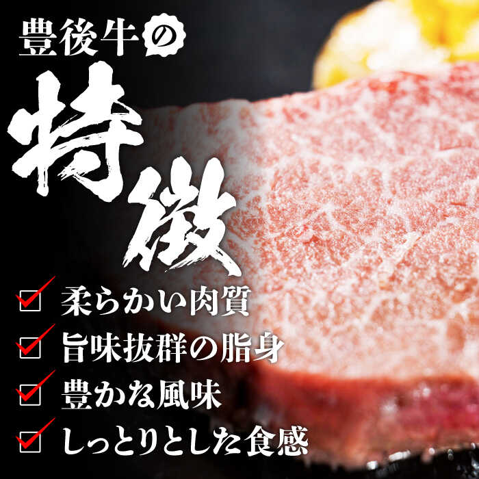 柔らかいヒレ肉を贅沢に！　【ふるさと納税】【選べる回数】おおいた豊後牛 ヒレ ステーキ 450g(150g×3枚) 肉 にく ニク お肉 牛肉 おおいた豊後牛 大分 黒毛和牛 ステーキ 国産 鉄板焼き 贅沢 記念日 ディナー 冷凍 和牛 霜降り フィレ ヒレステーキ 日田市 / 株式会社MEAT PLUS[AREI028,119-121]