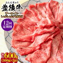 【ふるさと納税】【全12回定期便】【厳選部位】おおいた豊後牛 サーロイン しゃぶしゃぶすき焼き用 600g(300g×2P) 日田市 / 株式会社MEAT PL...