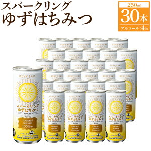 【ふるさと納税】スパークリング ゆずはちみつ 250ml 30本入り 1ケース お酒 アルコール 4％ ゆず 柚子 はちみつ 蜂蜜 缶 大分県 日田市 送料無料