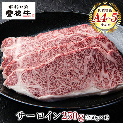 おおいた 豊後牛 サーロインステーキ 250g×1枚 ステーキ サーロイン 牛肉 肉 牛 A4 A5 ランク 大分県産 冷凍 送料無料