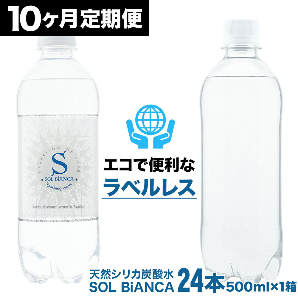 【ふるさと納税】【10ヶ月連続定期便】ミネラル炭酸水ソルビアンカ ラベルレス 500ml×24本 総合計240本 1ケース ペットボトル 天然水仕込み シリカ 強炭酸水 天然シリカ炭酸水 エコ 大分県産 国産 九州 大分県 日田市 送料無料