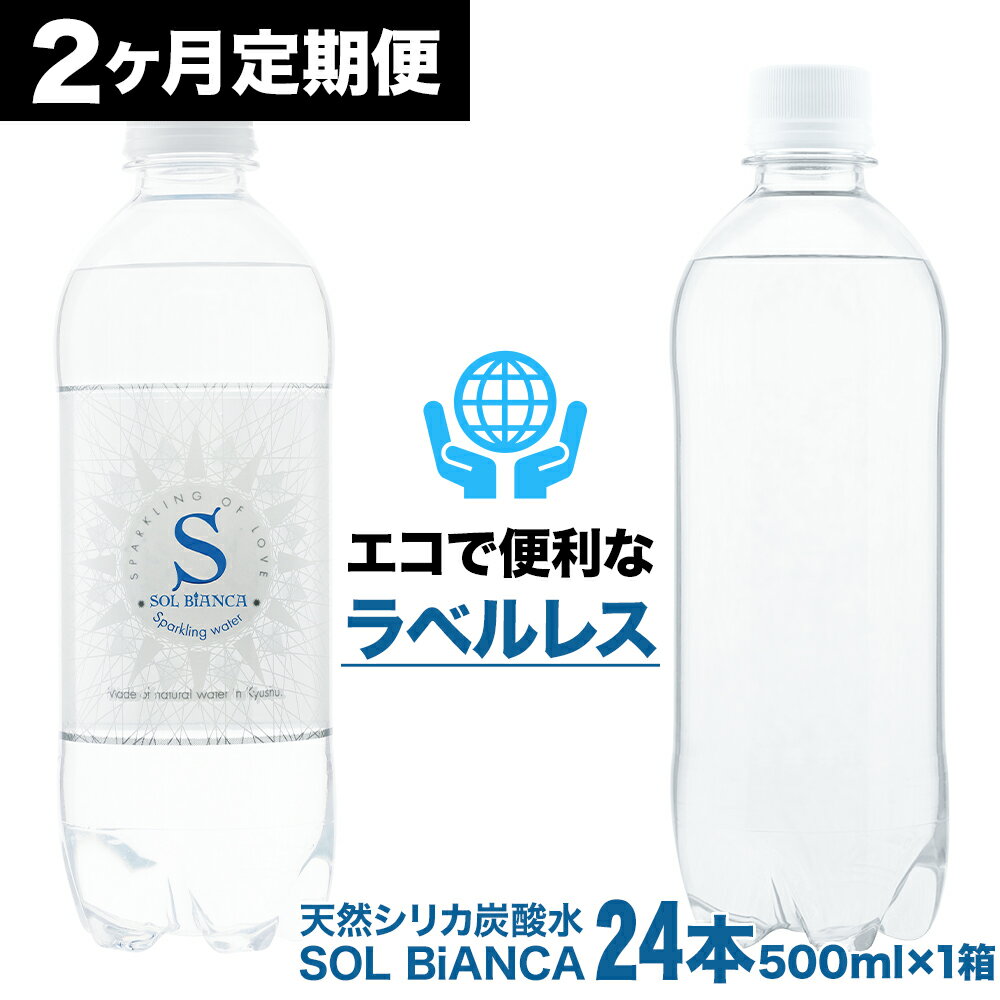 【ふるさと納税】【2ヶ月連続定期便】ミネラル炭酸水ソルビアンカ ラベルレス 500ml×24本 総合計48本 1ケース ペットボトル 天然水仕込み シリカ 強炭酸水 天然シリカ炭酸水 エコ 大分県産 国産 九州 大分県 日田市 送料無料