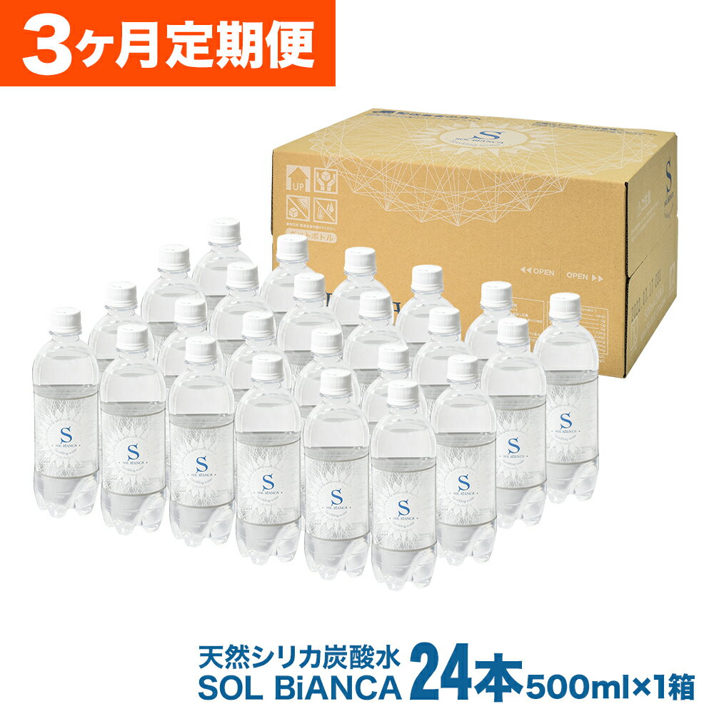 【ふるさと納税】【3ヶ月連続定期便】ミネラル炭酸水 ソルビアンカ 500ml×24本 総合計72本 1ケース ペットボトル 天然水仕込み シリカ 強炭酸水 天然シリカ炭酸水 大分県産 国産 九州 大分県 日田市 送料無料