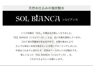 【ふるさと納税】炭酸水 ソルビアンカ 500ml 24本 1箱 ミネラル入 シリカ 強炭酸水 sol 水 天然水 ミネラルウォーター 炭酸 九州 国産 採水地保証 日田 送料無料