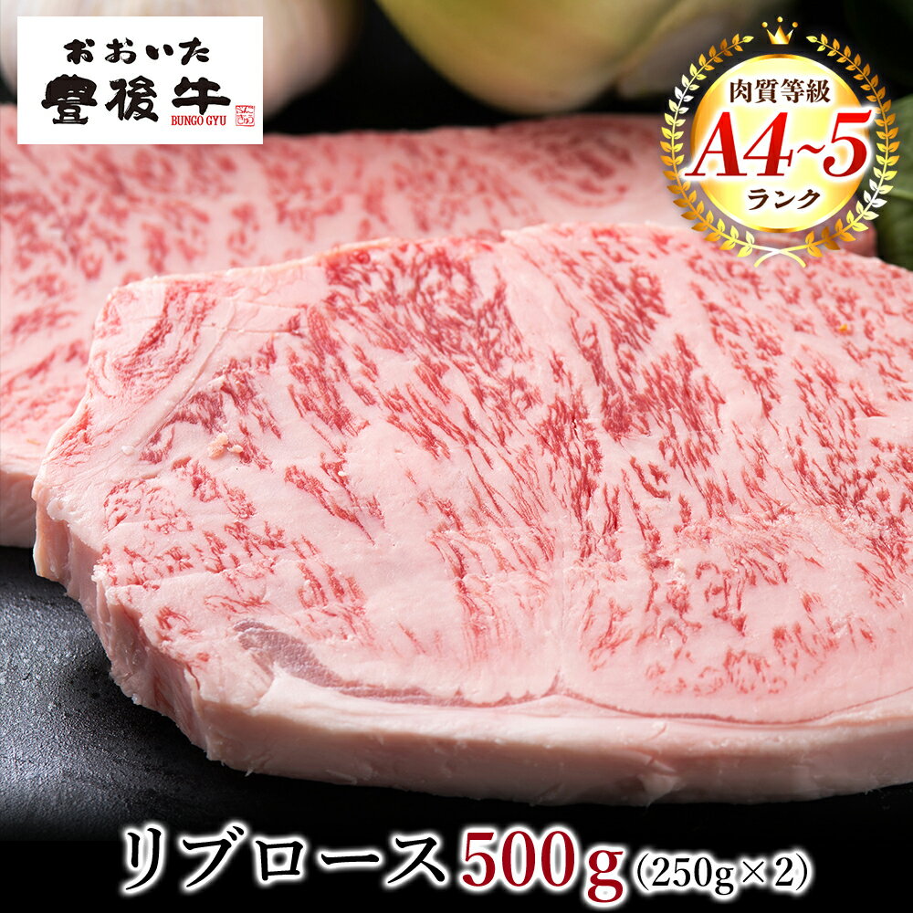 おおいた 豊後牛 リブロースステーキ 250g×2枚 合計500g ステーキ リブロース 牛肉 肉 牛 A4 A5 ランク 大分県産 冷凍 送料無料