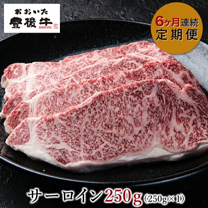 【6ヶ月連続定期便】おおいた豊後牛 サーロインステーキ 250g×1枚 6回 総合計6枚 総合計1.5kg サーロイン ステーキ 牛肉 肉 和牛 豊後牛 A4 A5 ランク 国産 大分県産 冷凍配送 送料無料