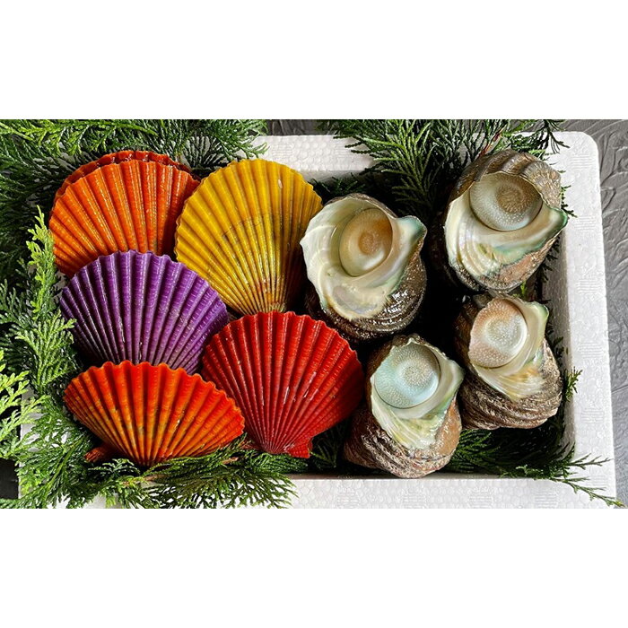 大分県 佐伯市 ふるさと納税 海べ株式会社 海の直売所 人気のヒオウギ貝withサザエ ハーフ 最新人気