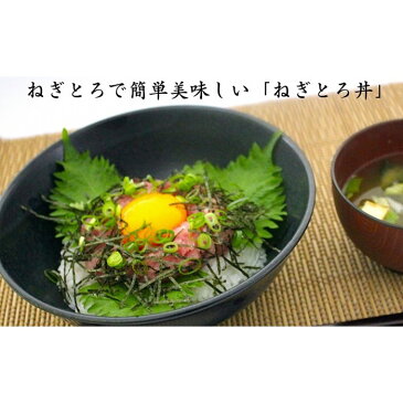 【ふるさと納税】【大人気!】お手軽マグロづくし(本マグロ切り落とし・ねぎとろセット)