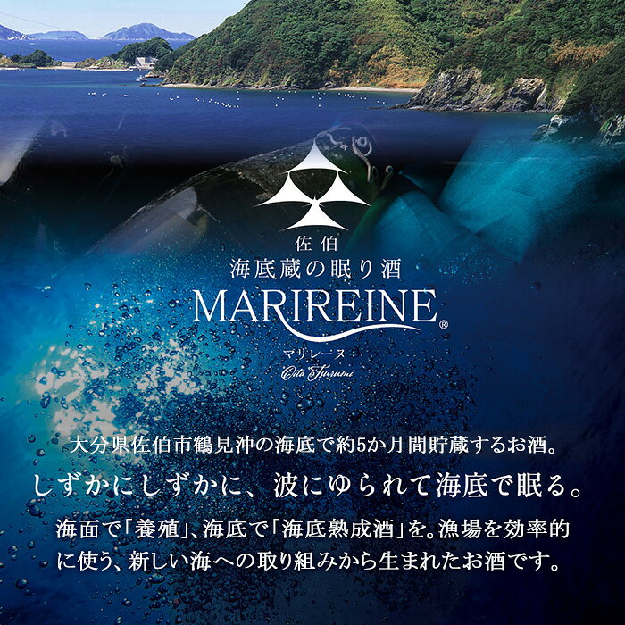 【ふるさと納税】海底貯蔵 赤ワイン MARIREINE ロネア コート デュ ローヌ レジョンド デ トック2024 (750ml・1本) ワイン 赤ワイン 酒 パーティー 海底蔵の眠り酒 熟成 大分県 佐伯市【FP033】【フルタ酒店】