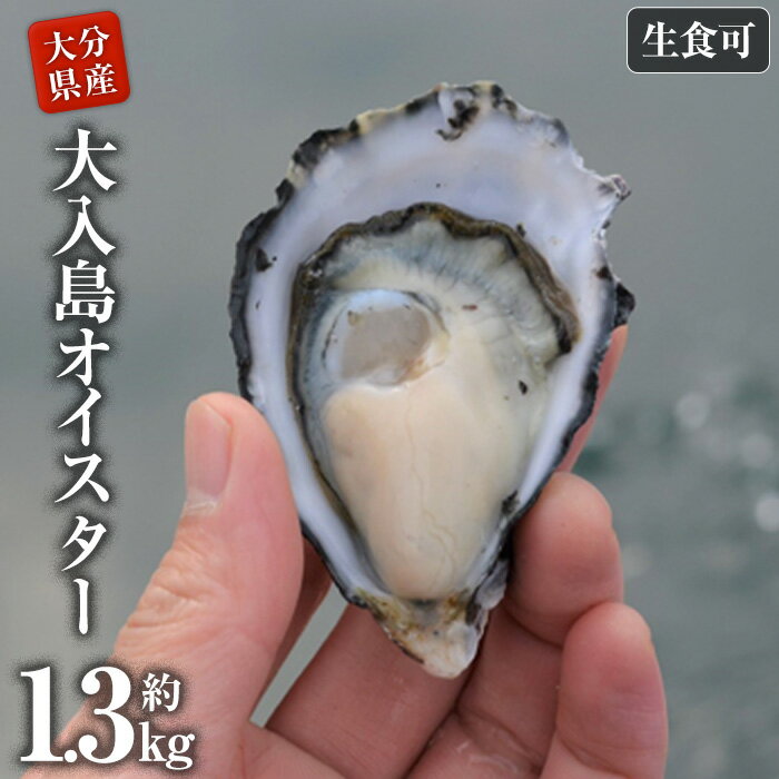 真ガキ 大入島オイスター (約1.3kg) 牡蠣 カキ 貝 海鮮 魚介類 冷蔵 生食可 シングルシード 養殖 大分県 佐伯市[ED08][(合)新栄丸]