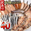 【ふるさと納税】訳あり 干物 魚 40尾以上(約5～7種) 規格外 簡易包装 小分け ひもの ギフト 詰め合わせ お取り寄せ グルメ 大分 アジ イワシ サバ かます 冷凍 佐伯市