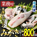 【ふるさと納税】＜業務用＞豊後とらふぐ 1匹 青箱入 (約800g前後) ふぐ フグ とらふぐ 皮 アラ あら てっちり鍋 鍋 ふぐ唐揚げ ふぐ刺し フグ刺し ふぐ刺身 フグ刺身 刺身 鮮魚 冷蔵 養殖 業務用 国産 大分県【AB211】【柳井商店】