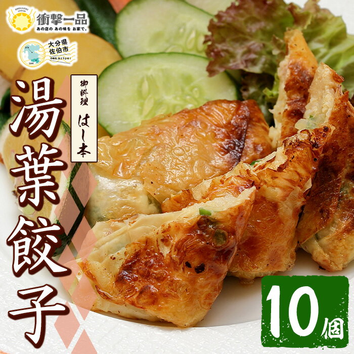 衝撃一品!御料理はし本 湯葉餃子 (計10個) 餃子 ギョーザ 豚肉 牛肉 湯葉 おつまみ おかず お惣菜 冷凍 国産 大分県 佐伯市[AB224][柳井商店]