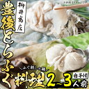 【ふるさと納税】＜着日指定必須＞養殖 豊後とらふぐ料...