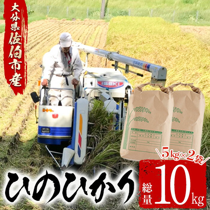 人気ランキング第58位「大分県佐伯市」口コミ数「0件」評価「0」＜令和5年産＞大分ひのひかり(計10kg・5kg×2袋) 米 ひのひかり ヒノヒカリ 精米 白米 大分県産 大分県 佐伯市【AJ80】【(有)ケーキ大使館クアンカ・ドーネ】