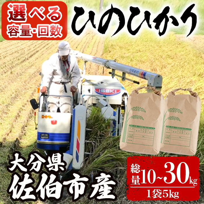 【ふるさと納税】大分ひのひかり米定...