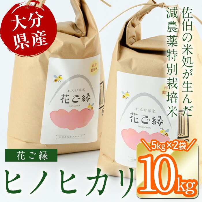 [令和5年産]減農薬特別栽培米 はなご縁 (計10kg・5kg×2袋) 米 ひのひかり ヒノヒカリ 精米 白米 大分県産 大分県 佐伯市[HD171][さいき本舗 城下堂]