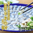 23位! 口コミ数「0件」評価「0」＜着日指定必須＞新鮮ふぐ料理店直送　「豊後活とらふぐセット 養殖3-4人前」【HD76】【さいき本舗 城下堂】