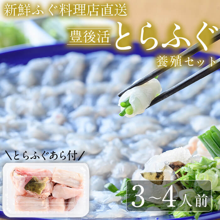【ふるさと納税】＜着日指定必須＞新鮮ふぐ料理店直送　「豊後活とらふぐセット 養殖3-4人前」とらふぐ..