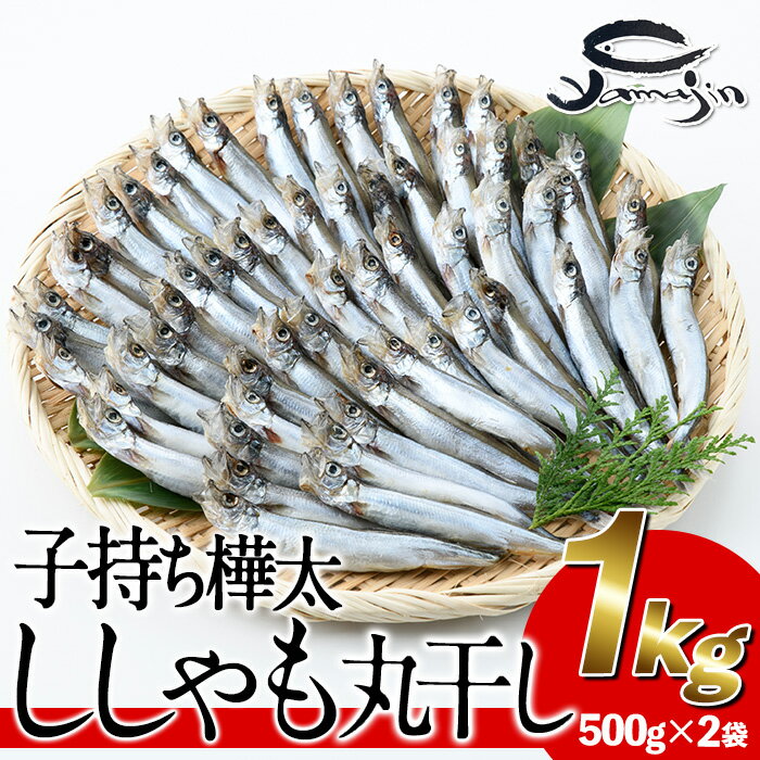 【ふるさと納税】子持ち樺太ししゃも丸干し (計1kg・500g×2袋) 干物 ししゃも シシャモ 丸干し 魚 海鮮..