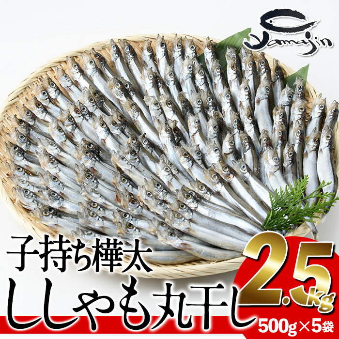 【ふるさと納税】子持ち樺太ししゃも丸干し (計2.5kg・500g×5袋) 干物 ししゃも シシャモ 丸干し 魚 海..