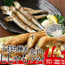 2位! 口コミ数「0件」評価「0」子持ち樺太ししゃも丸干し (500g×2袋) 子持ち樺太ししゃものフライ (400g×1袋) (合計1.4kg) 干物 ししゃも シシャモ ･･･ 