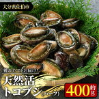 【ふるさと納税】天然活きトコブシ (約400g・ハーフサイズ) 魚介 貝 トコブシ とこぶし 網焼き バター焼き バーベキュー 獲れたて 冷蔵 海の直売所 大分県 佐伯市【AS107】【海べ (株)】