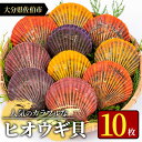 【ふるさと納税】ヒオウギ貝 (10枚) 魚介 貝 ヒオウギ貝