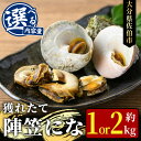 【ふるさと納税】<内容量が選べる>陣笠にな (約1kg・約2kg) 魚介 貝 にな ニナ 酒蒸し 網焼き バター焼き バーベキュー 獲れたて 冷蔵 海の直売所 大分県 佐伯市【AS125・AS84】【海べ (株)】