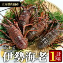 【ふるさと納税】<期間限定>大分県産 伊勢海老 (計1kg・約2~5尾) エビ えび 刺身 魚介 海鮮 BBQ 国産 味噌汁【AS128】【海べ (株)】