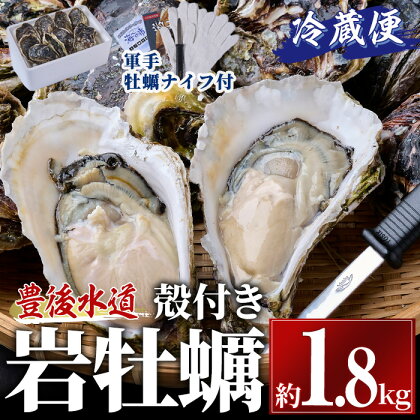 岩牡蠣 殻付き 大小混合 (約1.8kg) 冷蔵 生食不可 牡蠣 カキ かき 一粒 ひとつぶ 養殖 獲れたて 冷蔵 海の直売所 大分県 佐伯市【AS139】【海べ (株)】