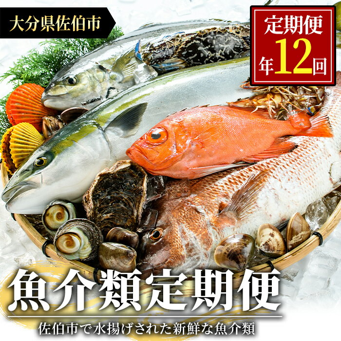 【ふるさと納税】＜定期便・全12回 (連続)＞魚介類定期便 (2-3人前×12ヶ月)魚 魚介 いか イカ たこ タコ 貝 海老 えび エビ 獲れたて 冷蔵 海の直売所 大分県 佐伯市【AS63】【海べ (株)】