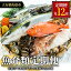 【ふるさと納税】<定期便・全12回 (連続)>魚介類定期便 (2-3人前×12ヶ月)魚 魚介 いか イカ たこ タ..