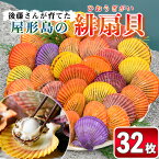 【ふるさと納税】後藤さんが育てた屋形島の緋扇貝（ひおうぎがい）32枚