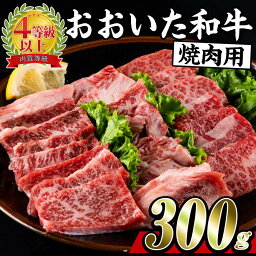 【ふるさと納税】〜百年の恵み〜おおいた和牛焼肉300g