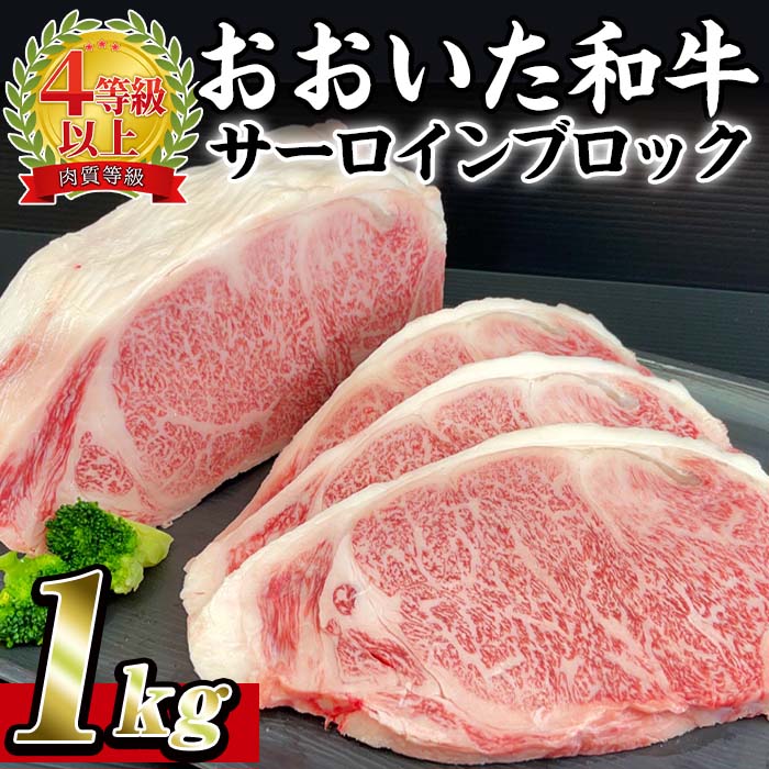 おおいた 和牛 サーロイン ブロック (1kg) 国産 豊後牛 ステーキ BBQ バーベキュー 惣菜 やきにく おかず 百年の恵み 大分県 佐伯市[BD190][西日本畜産 (株)]