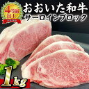 【ふるさと納税】おおいた 和牛 サーロイン ブロック (1kg) 国産 豊後牛 ステーキ BBQ バーベキュー 惣菜 やきにく おかず 百年の恵み 大分県 佐伯市【BD190】【西日本畜産 (株)】