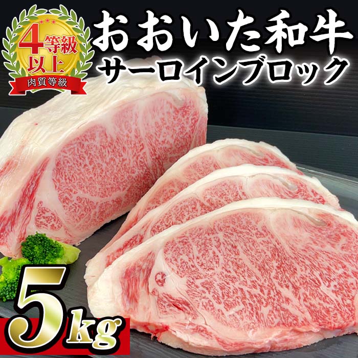 13位! 口コミ数「0件」評価「0」おおいた 和牛 サーロイン ブロック (5kg) 国産 豊後牛 ステーキ BBQ バーベキュー 惣菜 やきにく おかず 百年の恵み 大分県 ･･･ 