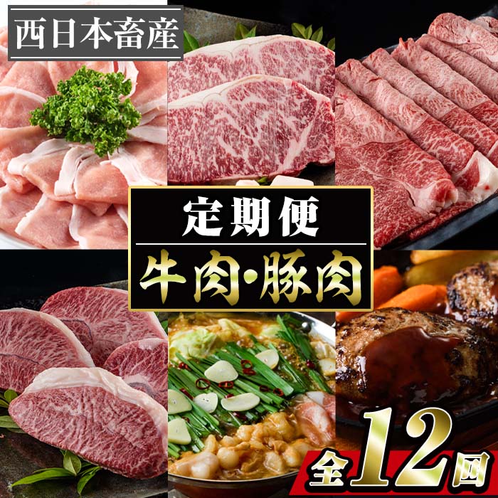 ＜定期便・全12回 (連続)＞牛肉 豚肉 バラエティ定期便 (12か月毎月お届け) おいも豚 豚 牛 サーロイン ハンバーグ お肉 おにく すき焼き しゃぶしゃぶ もつ鍋 ヒレ ミスジ 和牛【BD200】【西日本畜産 (株)】