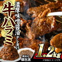 【ふるさと納税】濃厚味噌醤油 タレ漬け牛ハラミ(サガリ)肉 小分け 個包装で便利! (合計1.2kg・300g×4p) 牛肉 焼くだけ 簡単 焼肉 焼き肉 やきにく 厚切り 肉厚 冷凍 BBQ 希少部位 【BD300】【西日本畜産 (株)】