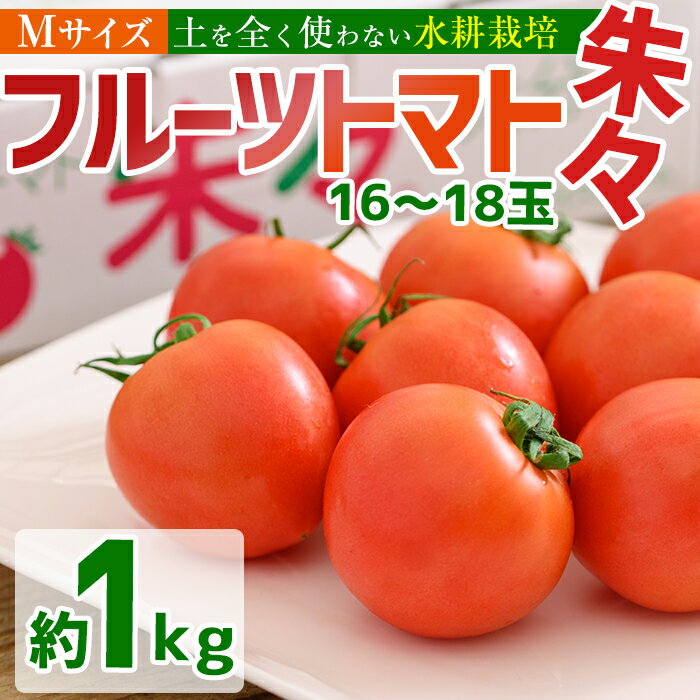 【ふるさと納税】フルーツトマト 朱朱 Mサイズ (計1kg・16-18玉) M 高糖度 糖度 フルーツトマト トマ...