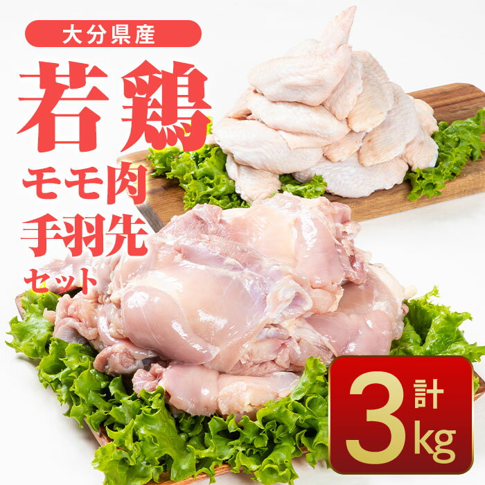 【ふるさと納税】大分県産 若鶏 モモ肉 手羽先 セット 合計3kg・2種 国産 手羽先 もも 惣菜 おかず 唐揚げ 煮物 セット 詰め合わせ 冷凍 大分県 佐伯市【CQ10】【 株 Aコープ九州鶴見店】