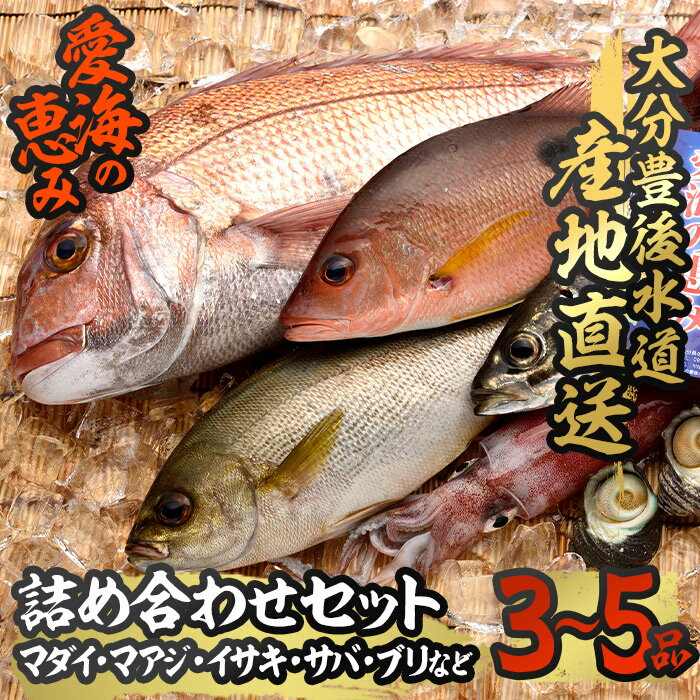 天然 鮮魚詰め合わせ (合計約2.8-3.2kg・3種以上) 直送 産直 漁師 魚 鮮魚 天然 マダイ 鯛 マアジ 鯵 イサキ サバ 鯖 ブリ 鰤 獲れたて 刺身 煮つけ 塩焼き 冷蔵 豊後水道 鮮魚[CS01][ (有)丸昌水産]