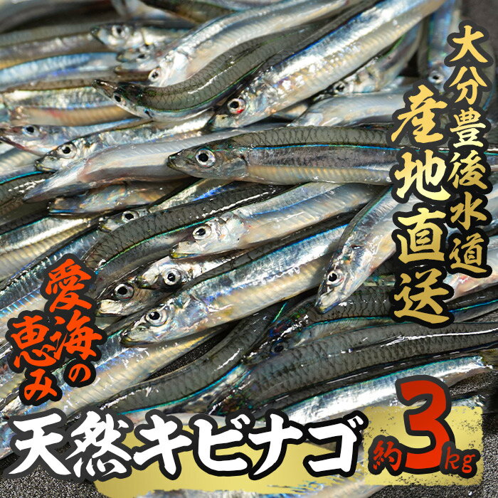 【ふるさと納税】天然 キビナゴ (約3kg) 直送 産直 漁師 魚 鮮魚 天然 きびなご 吉備女子 獲れたて 刺身 煮つけ 塩焼き フライ 南蛮漬け 冷蔵 豊後水道 鮮魚 大分県 佐伯市【CS06】【 (有)丸昌水産】