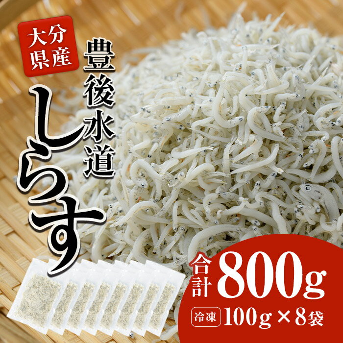 【ふるさと納税】 豊後水道産 しらす 合計800g・100g 8袋 冷凍 しらす しらす丼 丼ぶり 魚 さかな ご飯 ごはん 炒飯 チャーハン パスタ サラダ 国産 大分県 パック 小分け 便利 大分県 佐伯市…